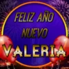 Feliz Año Nuevo 3(Nombres) 27