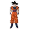 Dragon ball 6