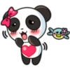Pandita 16