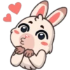Funny rabbit 22