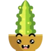 Cactus 20