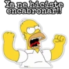 Mi Dulce Homero S. 19