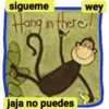 sigueme
wey
Hong in there/
jaja
no puedes