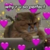uwu 28
