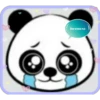 panditas 25