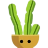 Cactus 21