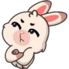 Funny rabbit 23