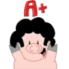 Afro Pig 19