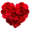 Valentine's Day 18