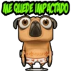 ME QUIEDE IMPACTADO
GRISH