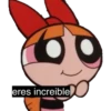 powerpuff girls 24