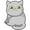 Cat FullMoon 30