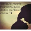 amor 27