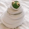 Kermit the frog part 2(Feat. Gerry) 27