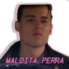 MALDITA PERRA