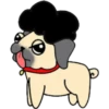 Afro Pig 20