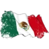 Bandera de México 12