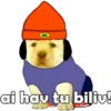 PERRITO PACK11 23