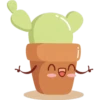Cactus 23
