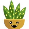 Cactus 24
