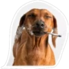 stickers al azar 30