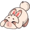 Funny rabbit 24