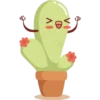 Cactus 26
