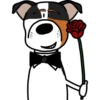 Bandits friends 20