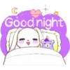 Cute Rabbit 6