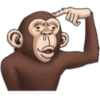 Crazy monkey 1 6