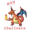 Pokémon soy 9