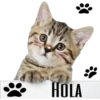 "
HOLA
