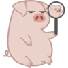 Grumpig 5