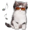 Cute Cats 2 9