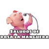 SALUDOS DE
ROSA LA MANGUERA
oyesss_batman