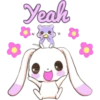 Cute Rabbit 9