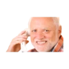 Hide The Pain Harold 5