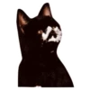 Salem Saberhagen (Sabrina the Teenage Witch) 11