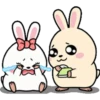 DS व