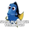 Dory olvidadiza 16