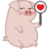 Grumpig 8
