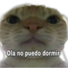 Ola no puedo dormir