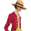 Luffy  (anime) 13