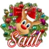 Krys
Saut