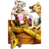 Birds Of Prey - Harley Quinn 10