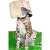 Кошачьи 3 8