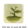 Flora peruana 5