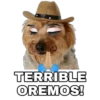 Perrito con sombrero 5
