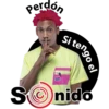 Perdon si tengo el sonido 13