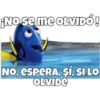 Dory olvidadiza 20